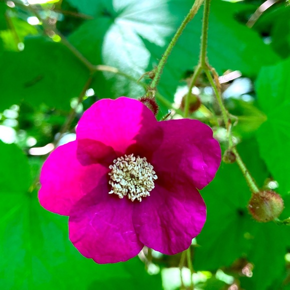 Meet your Posher, Catherine - Picture 1 of 1